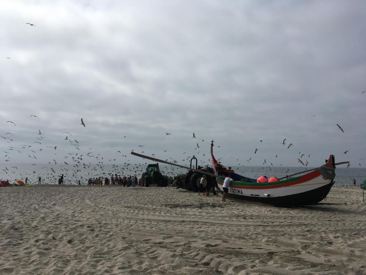 Moradia Proxima Da Praia Do Areinho, Na Ria, E Praia Dos Marretas Ovar Luaran gambar